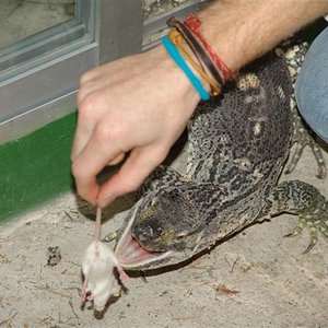 DSC00884 (Small).JPG