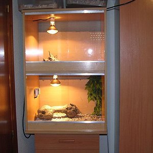 terrario doble.JPG