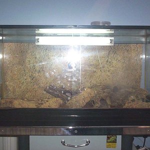 Terrario Eubles 100-50-50.jpg