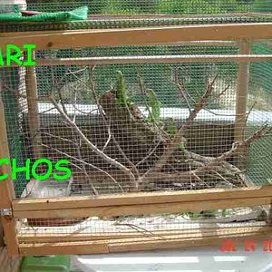 TERRARIO EXTERIOR.jpg