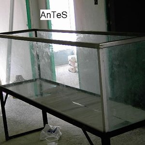acuario-terrario.JPG