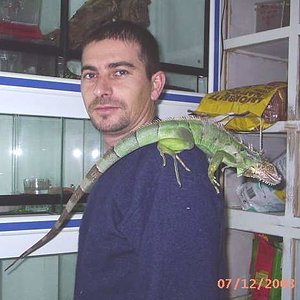 Por fin de paseo.JPG