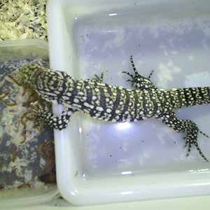 de todo un poco 268.jpg