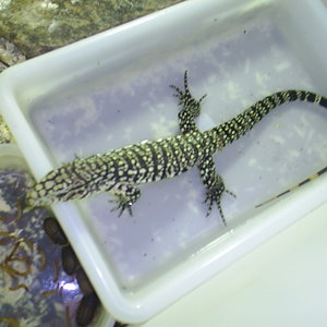 de todo un poco 267.jpg