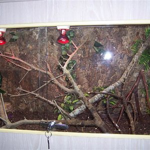 TERRARIO jmreptil (Small).jpg