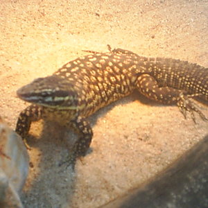 de todo un poco 306.jpg