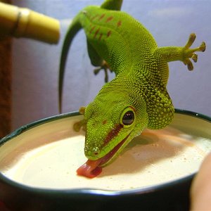 Imagen 249 (Medium).jpg