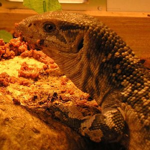 Asistente para redimensionar-1.jpg