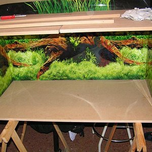 poniendo el fondo.JPG