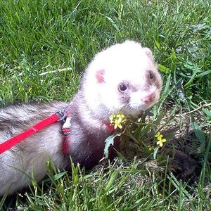 Copia de IM000747.JPG