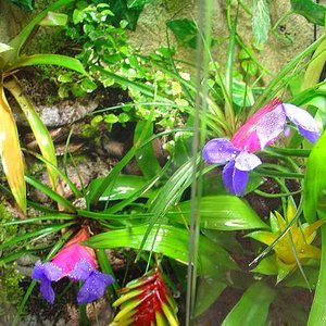 TERRA VENT.JPG 1.JPG