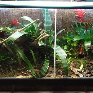 TERR.TERRI.JPG 1.JPG