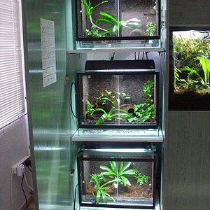 bateria terrario.JPG 1.JPG