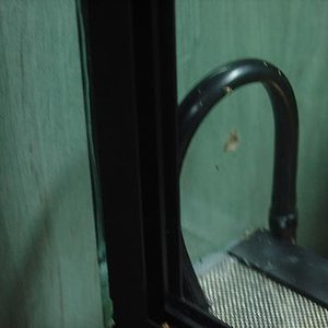 bateria terrario.JPG5.JPG