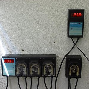 bateria terrario.JPG3.JPG