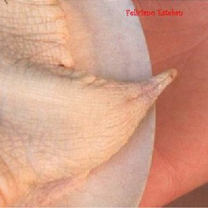 Pelodiscus sinensis (cola macho).jpg