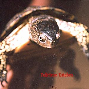 Emys orbicularis (2) macho.jpg