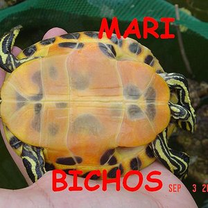 voluntariado 050.jpg