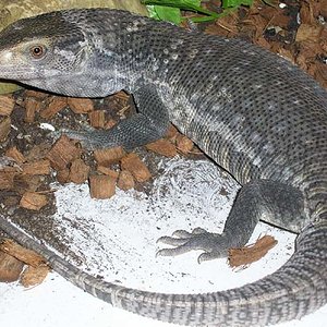 Asistente para redimensionar-1.jpg