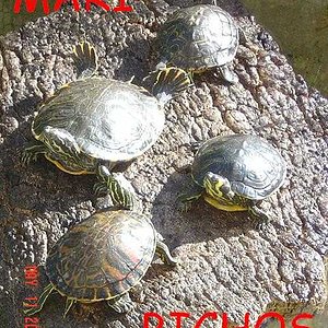 estanque reforma 004.jpg