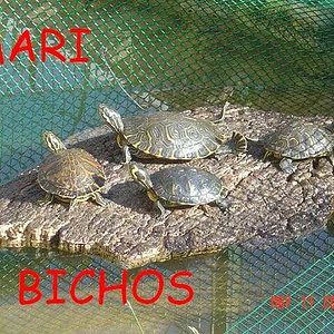 estanque reforma 007.jpg