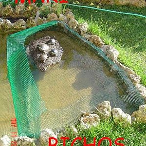 estanque reforma 005.jpg