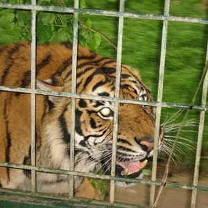 santillana del mar 055.jpg