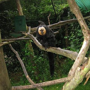 santillana del mar 002.jpg