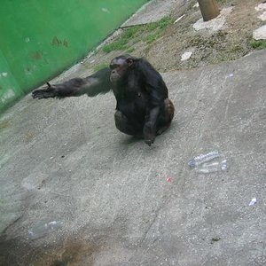 santillana del mar 048.jpg