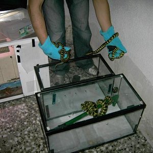 Cheynei`s party  jejejeje.JPG