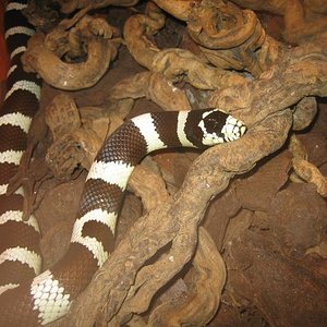 santillana del mar 006.jpg