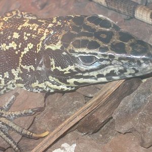 santillana del mar 010.jpg