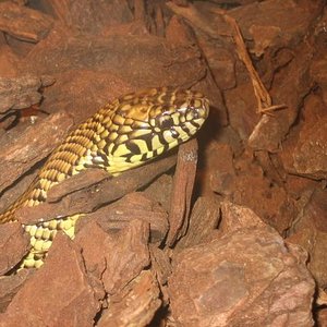 santillana del mar 038.jpg