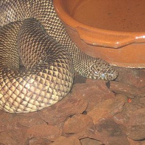 santillana del mar 040.jpg