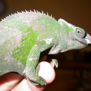 BRadyfischer 001.jpg