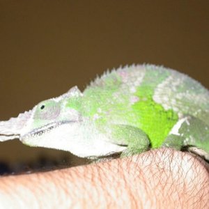 BRadyfischer 002.jpg