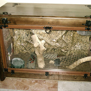 terrario sinaloe.jpg