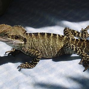 P9230028 (Small).JPG