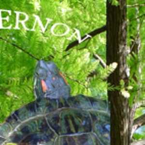 banner kinosternon.jpg