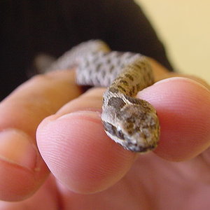 Copia de MVC-019S.JPG