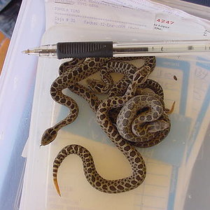 Copia de MVC-020S.JPG