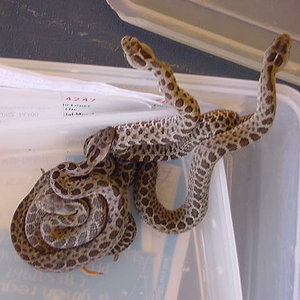 Copia de MVC-017S.JPG