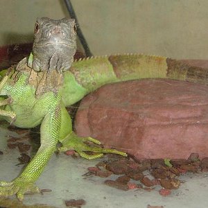 os manda un saludito.JPG