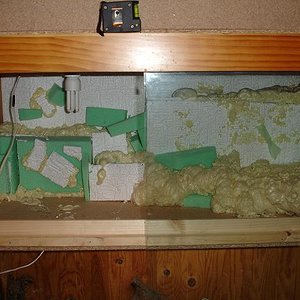 terrario1.JPG