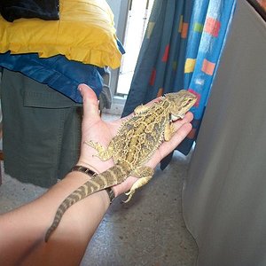 iara 001_637x480.jpg