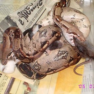 TRABAJO EN EKIPO2.JPG