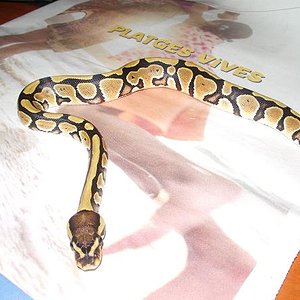 Copia de IMGP0692.JPG