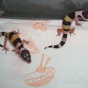 25 de Julio(izda.)-26 de Julio(dcha.).JPG