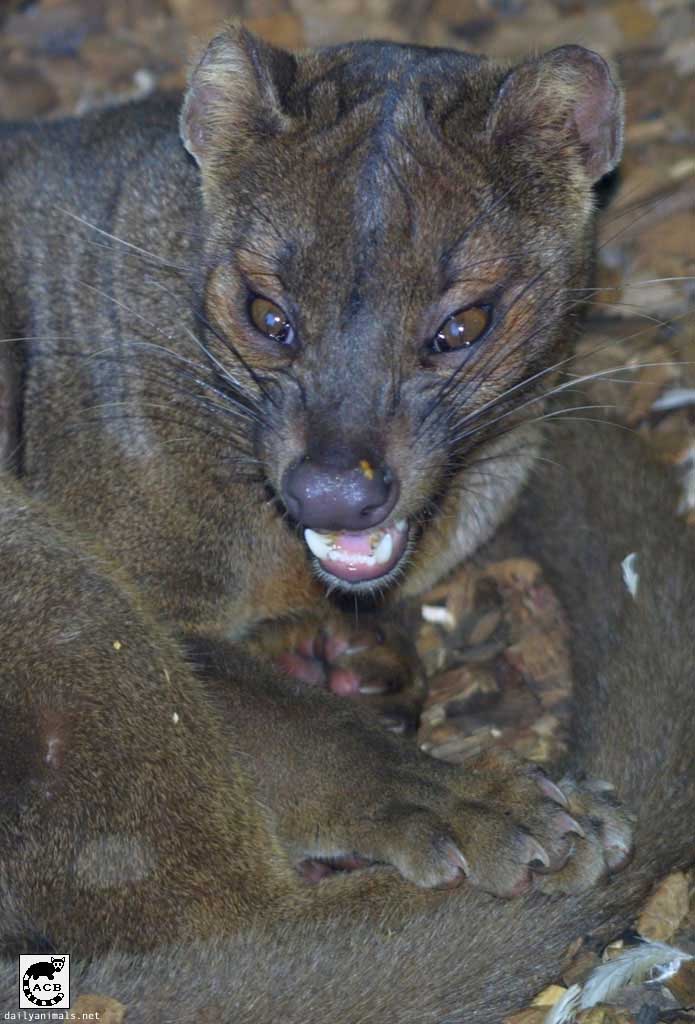 0042_105_0507 copia.jpg