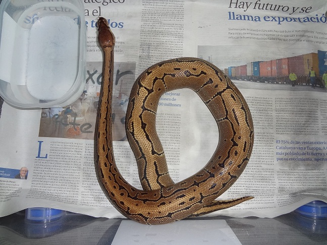 02-11-12 (1)foro.jpg